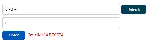 captcha-invalid