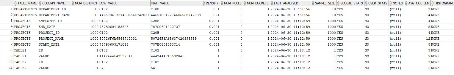 Oracle column statistics